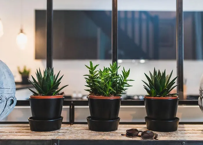 L'atelier Keyweek Vintage Duplex With Parking Center Biarritz